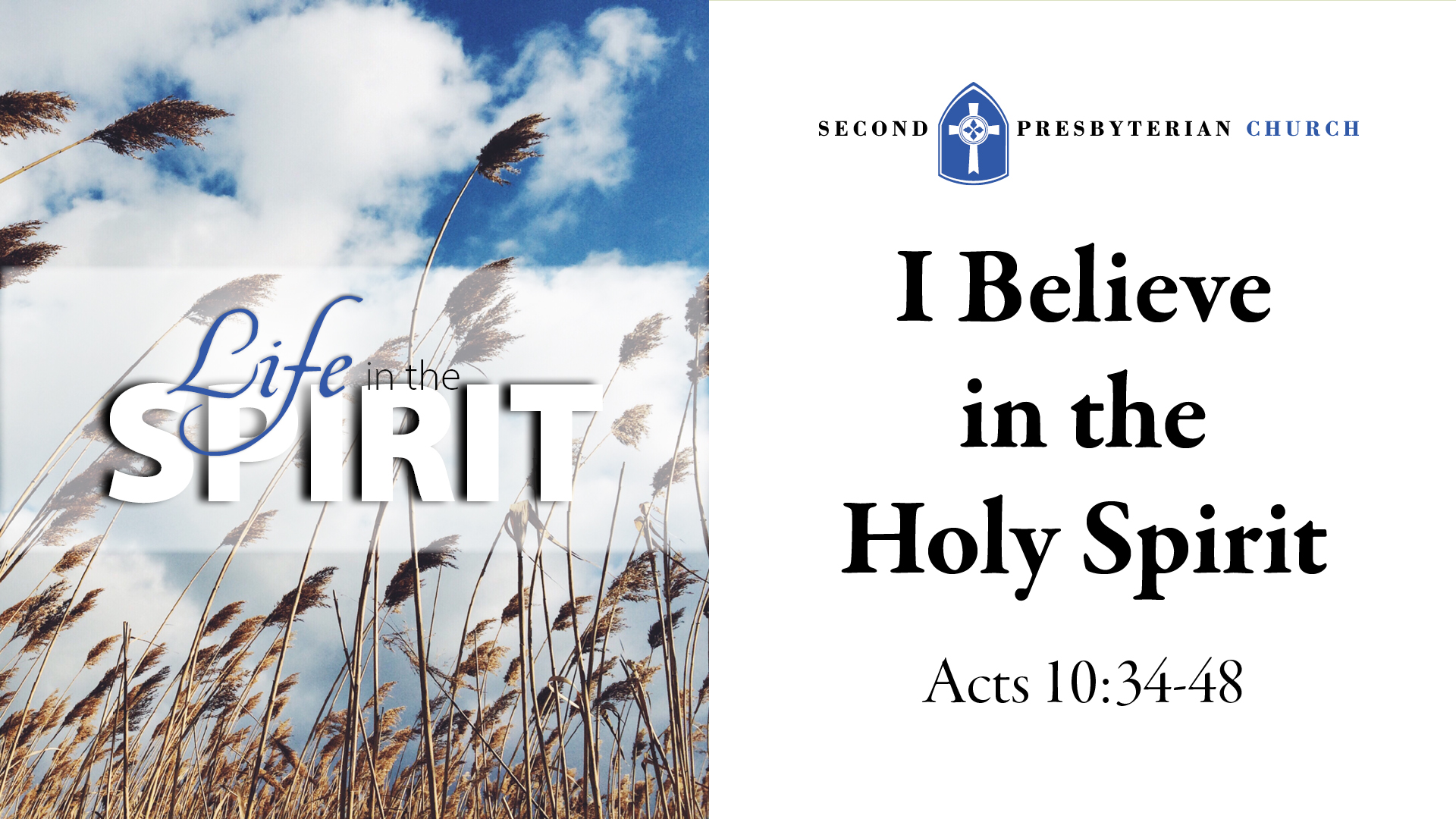 Life in the Spirit-I Believe in the Holy Spirit